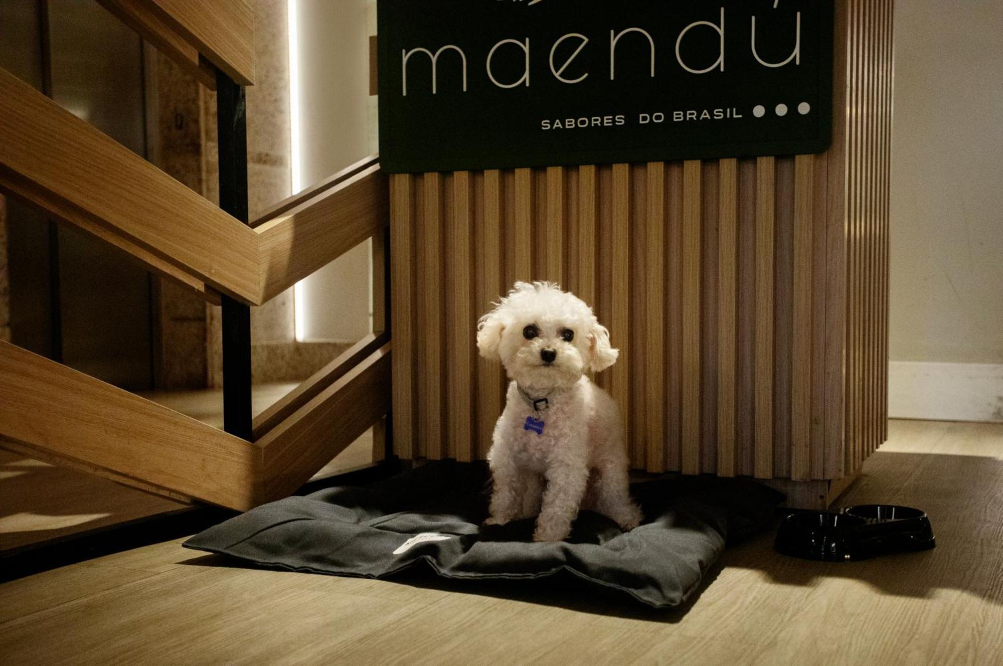 Mercure Maceio Pajucara Zewnętrze zdjęcie